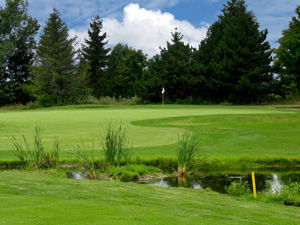 Maples of Ballantrae Golf Course Details - Toronto Golf